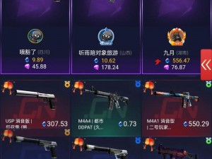 CSGO 官方观战平台官方出品，CSGO 观看录像的最佳选择