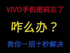 软件下载 3.0.3 免费 vivo 版破解，vivo 手机用户必备的破解软件