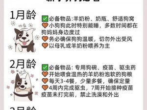 字母圈找狗容易的软件，助你轻松寻回爱犬