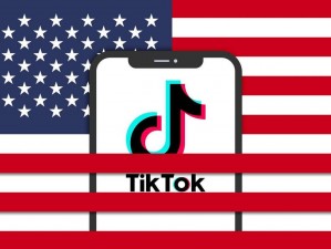 tiktok 在线看免费入口，海量视频资源，高清流畅，无广告打扰