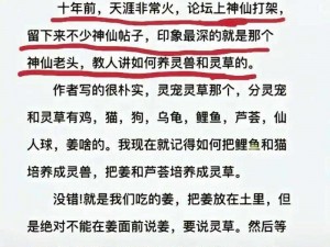 天涯神贴传奇：揭秘大经典神贴的魅力与价值探讨