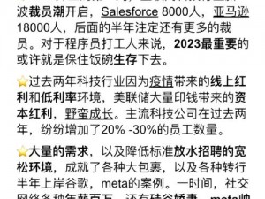 日韩矿转码专一 2023 网页版，畅享高清视频资源