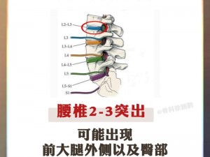 双楠骨科肉，专业治疗各种骨科疾病，让你的骨骼更健康