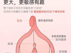 老板的性生视频：助你释放压力的必备好物