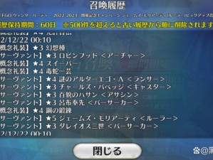 FGO265保底系统深度解析：探究其机制与实用性评价