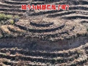 张玉梅肥沃土地，助您打造优质农田