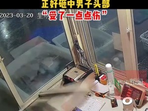 9 分 10 秒落地窗头撞玻璃视频播放：一款让你惊心动魄的商品