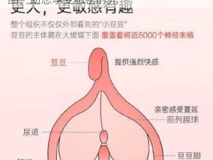 777 奇米四色成人影色区热卖成人情趣用品，助您享受私密时光