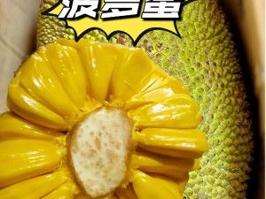 菠萝蜜视频免费播放高清，精彩内容尽在其中