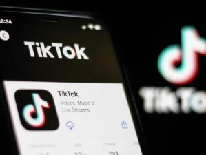 如何看待 TikTok？