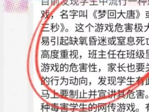 死亡回归游戏阶段解析：从入门到精通的全程回顾