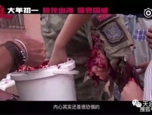 国内精品国产三级国产 AⅤ 久，真实呈现成人世界的情感故事