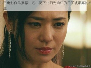 苍井空电影作品推荐：逃亡花下北阳光灿烂的日子被嫌弃的松子的一生