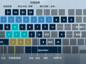 CSGO游戏键盘及鼠标键位图全览：如何自定义中心键位设置指南