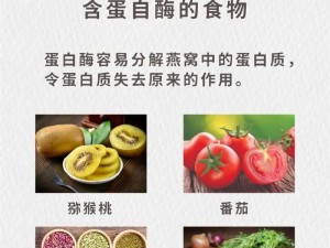 侠客食材大全：金丝燕窝获取攻略及全方位食材获取途径详解