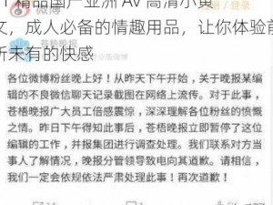 91 精品国产亚洲 Av 高清小黄文，成人必备的情趣用品，让你体验前所未有的快感