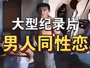 最新男男 gay 片，激情无限，让你心跳加速