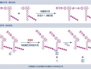 物种起源核心物质合成攻略揭秘：生产方法与合成步骤解析