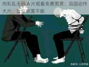 肉乳乱无码 A 片观看免费男男：岛国动作大片，让你欲罢不能