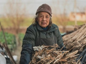 国产老头老太 dh 系列高品质生活用品，舒适耐用，的生活带来更多便利