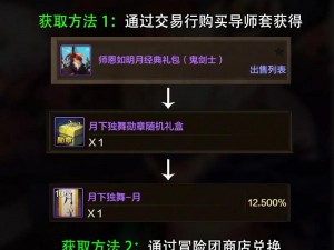 DNF徽章镶嵌全攻略：操作过程详解与技巧分享