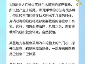 需要我介绍这只名叫小白小如的畸形狗狗吗？