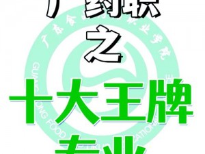 蛋国志最强职业揭秘：探寻顶尖角色，职业选择之优劣对比揭秘