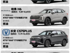 家用舒适，空间宽敞，高性价比的国产精品 SUV 一区二区