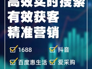 SEO 短视频网页入口网站推广：提升品牌知名度，精准引流获客