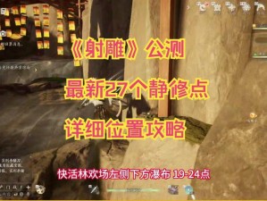 射雕静修之道：探寻收集方法与实践途径，解析有效策略技巧