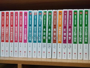 最好看的 2020 中文大全——让你一次看个够的中文书籍盛宴