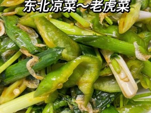 51cgfun3 吃瓜老虎菜，口感鲜嫩，清爽可口，是一道美味的家常菜