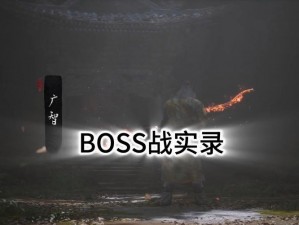 中国惊奇先生BOSS战攻略：实战经验与技巧解析