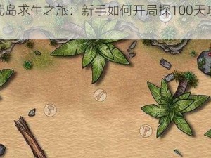 探索荒岛求生之旅：新手如何开局探100天攻略分享