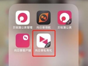 向日葵 app 在线 ios 下载网址进入，享受私密安全的远程控制体验