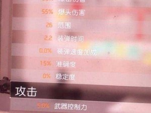 全境封锁2全火突袭全火配装攻略