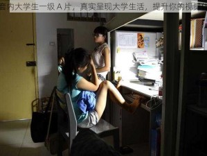 无套内大学生一级 A 片，真实呈现大学生活，提升你的视觉体验