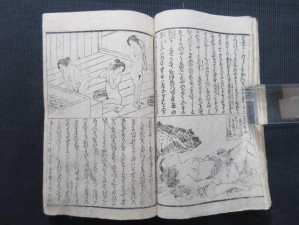 古代将军书房情趣用品之含乳尖 h 精美画卷