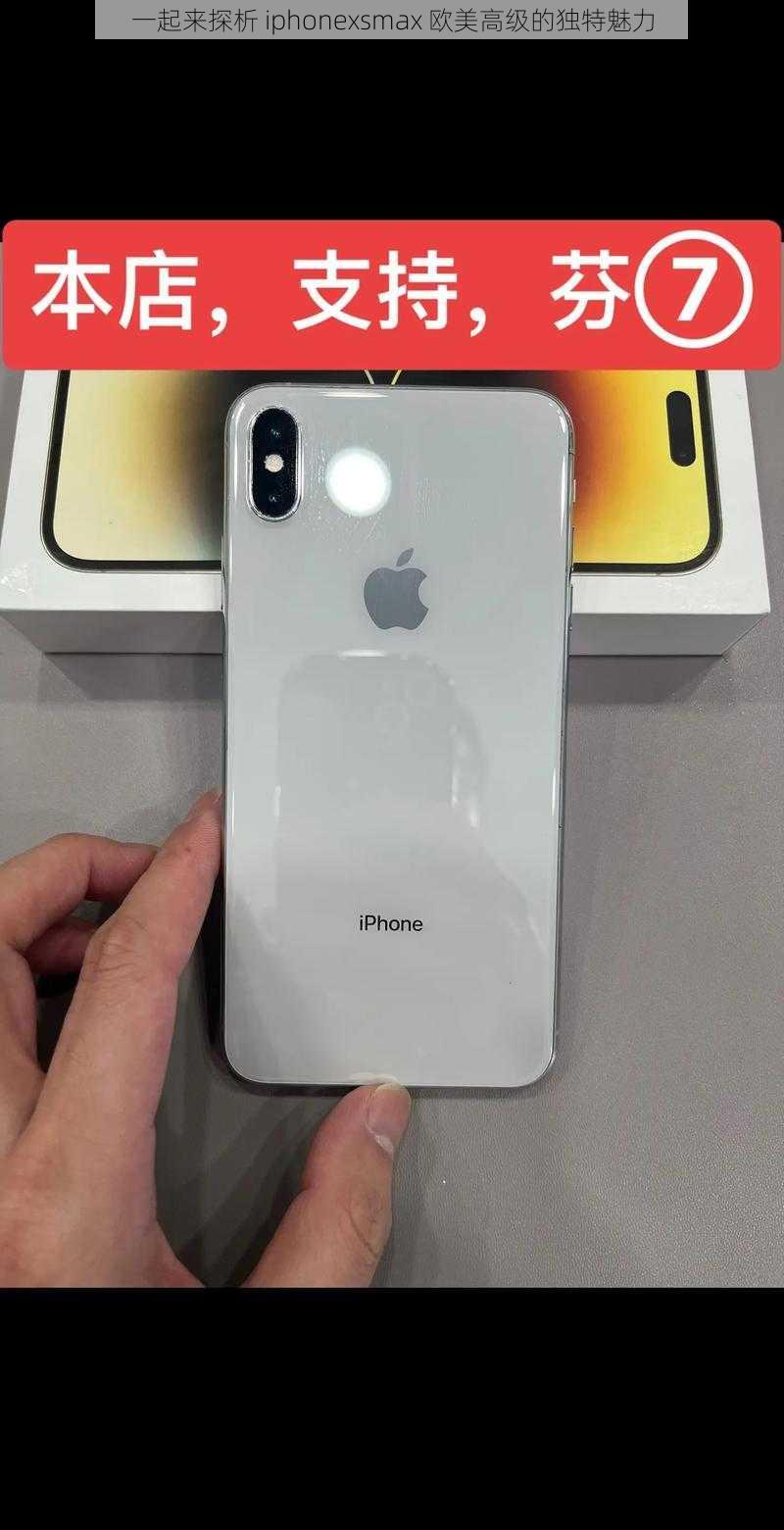 一起来探析 iphonexsmax 欧美高级的独特魅力