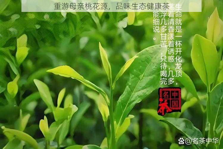 重游母亲桃花源，品味生态健康茶