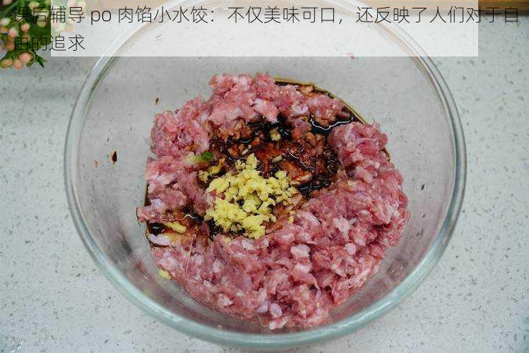 课后辅导 po 肉馅小水饺：不仅美味可口，还反映了人们对于自由的追求