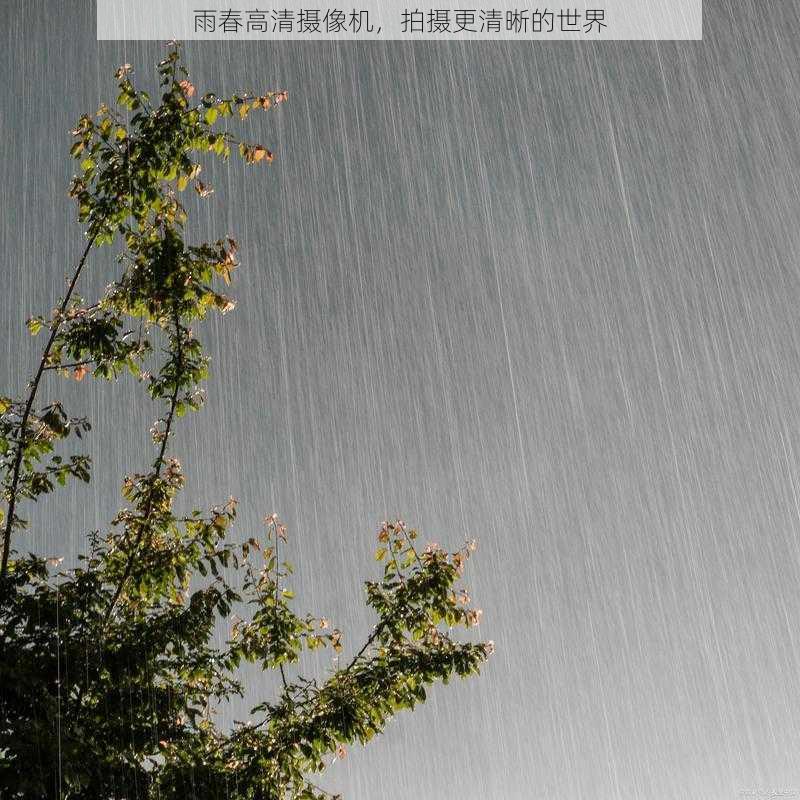 雨春高清摄像机，拍摄更清晰的世界