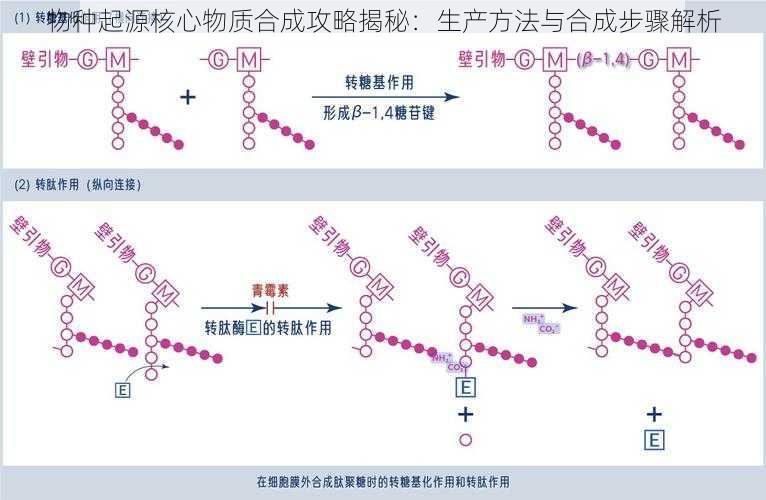 物种起源核心物质合成攻略揭秘：生产方法与合成步骤解析