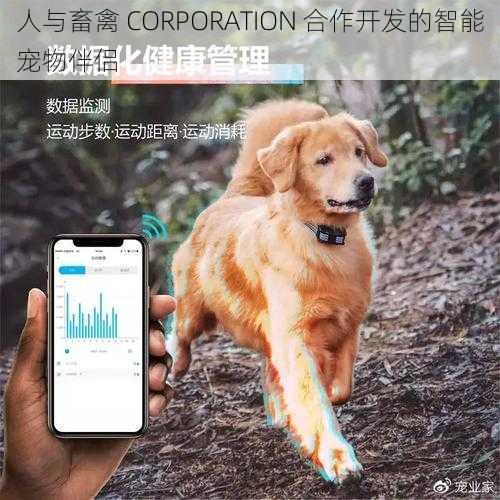 人与畜禽 CORPORATION 合作开发的智能宠物伴侣