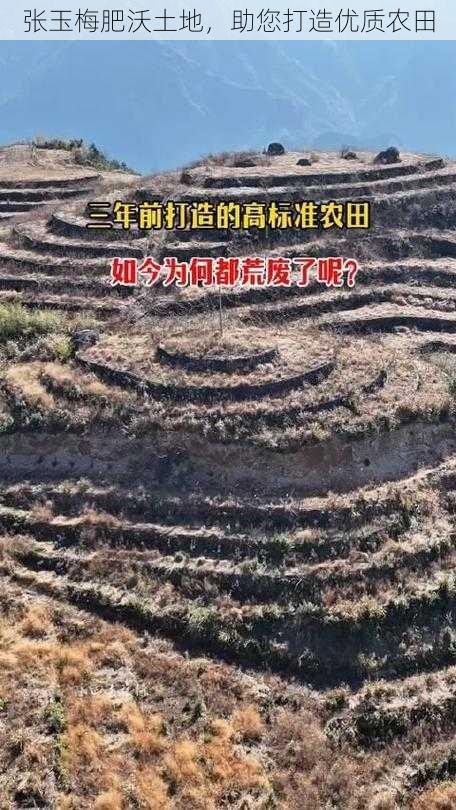 张玉梅肥沃土地，助您打造优质农田