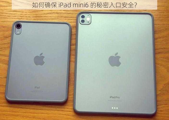 如何确保 iPad mini6 的秘密入口安全？