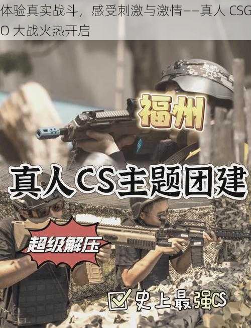 体验真实战斗，感受刺激与激情——真人 CSGO 大战火热开启