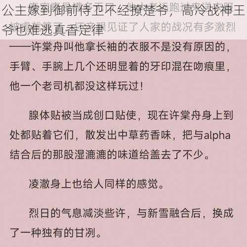 公主嫁到御前侍卫不经撩楚爷，高冷战神王爷也难逃真香定律