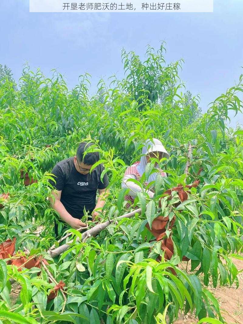 开垦老师肥沃的土地，种出好庄稼