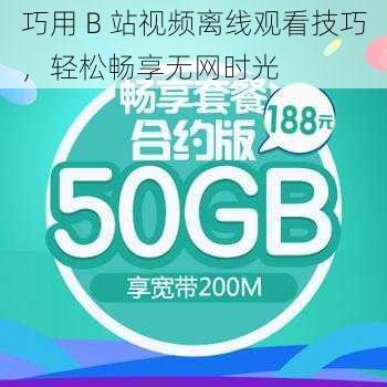 巧用 B 站视频离线观看技巧，轻松畅享无网时光